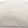 Lululemon Athletica Everywhere Belt Bag 1L (White)