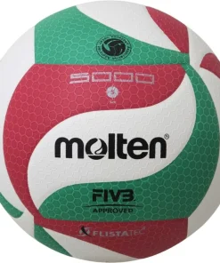 Molten Volley Ball